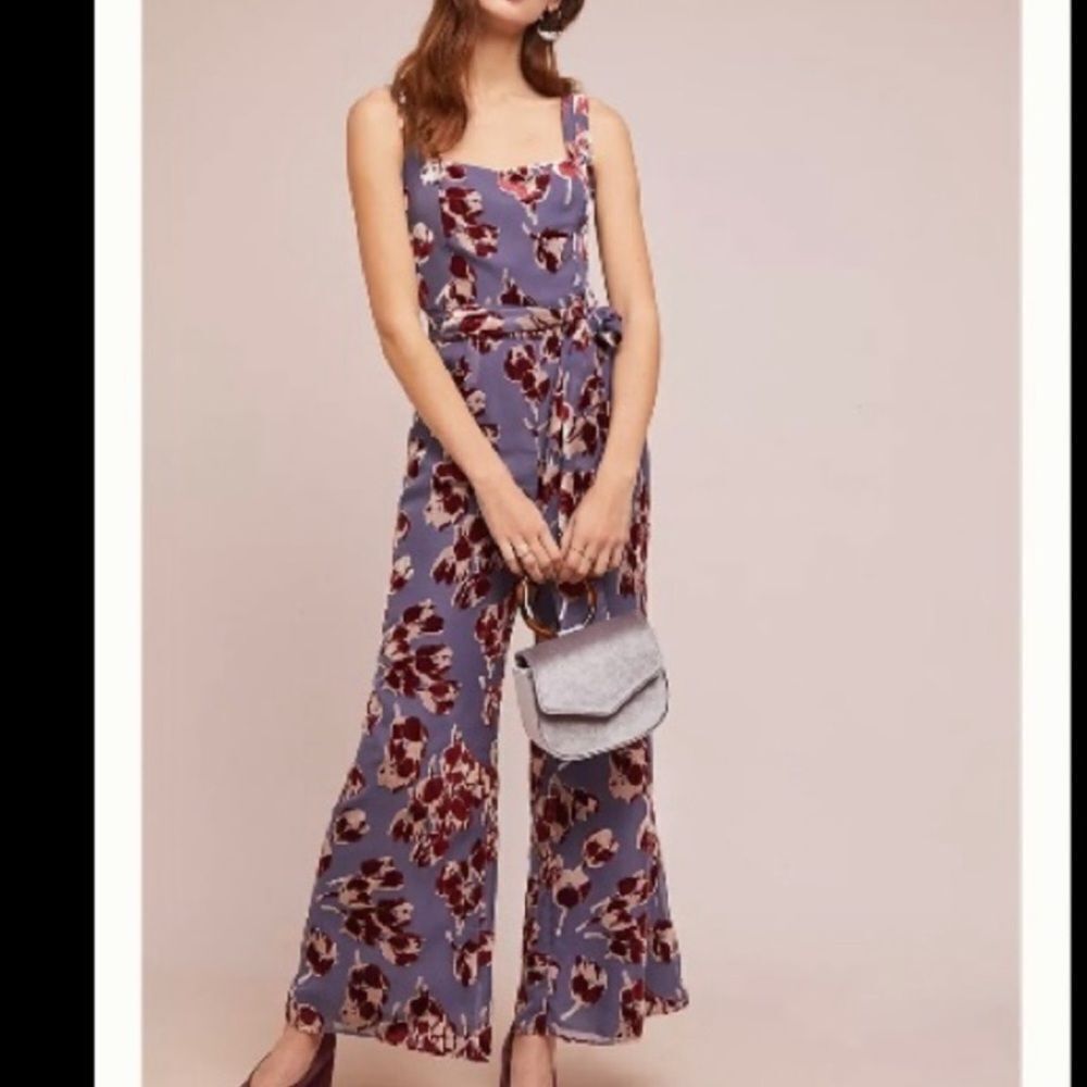 Anthropologie Velvet Burnout Jumpsuit-M14